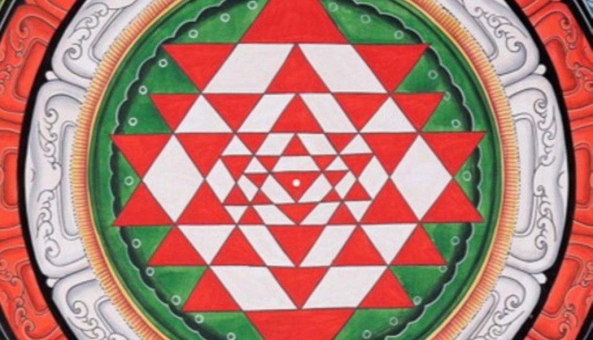 WdR 2024 SDH quadrat